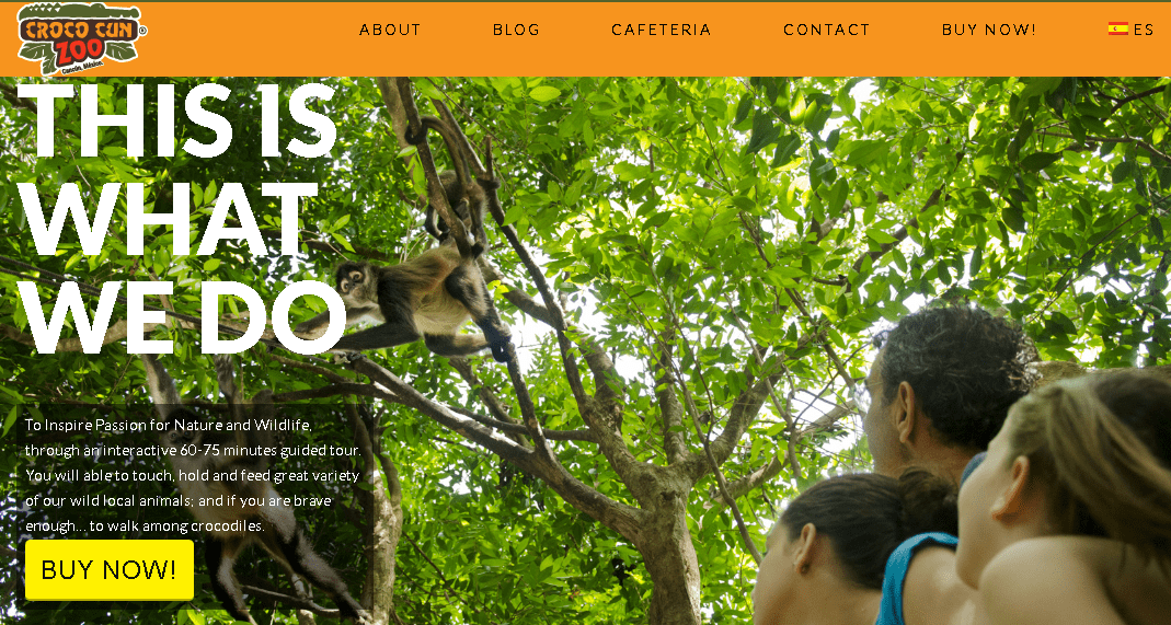 Web Croco Cun 1