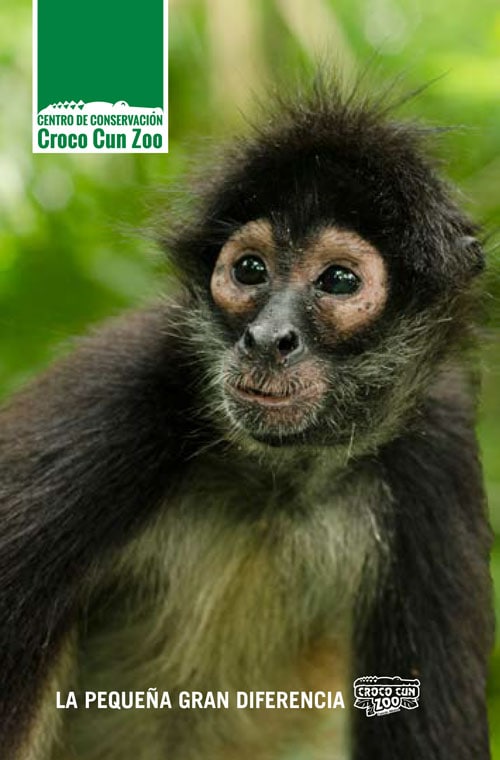 Centro de conservación