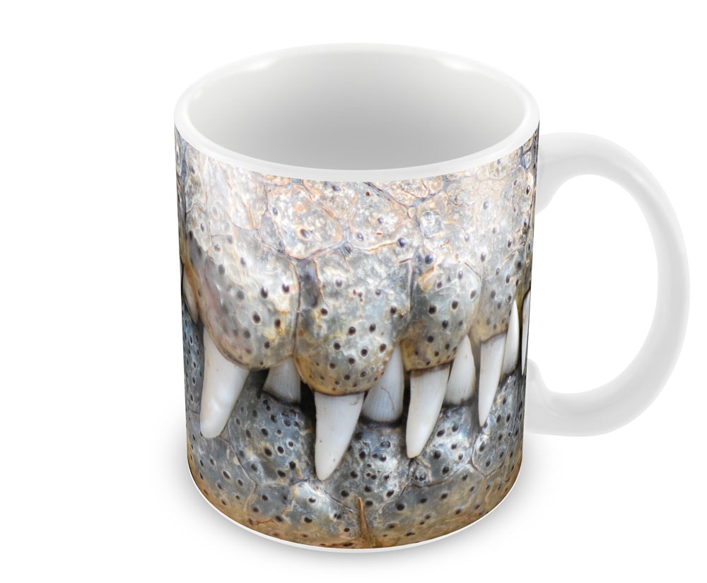Taza Zoo
